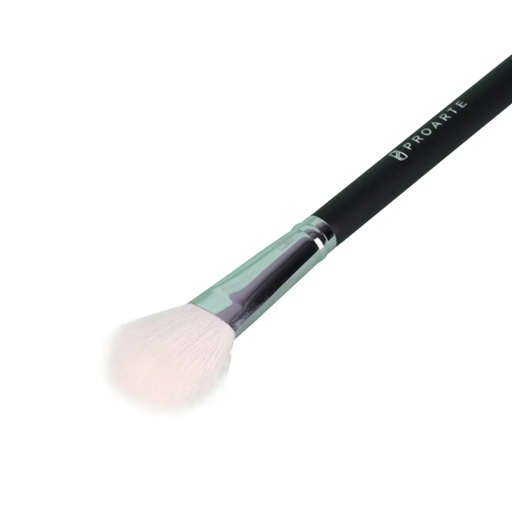 Blush Brush PF-55