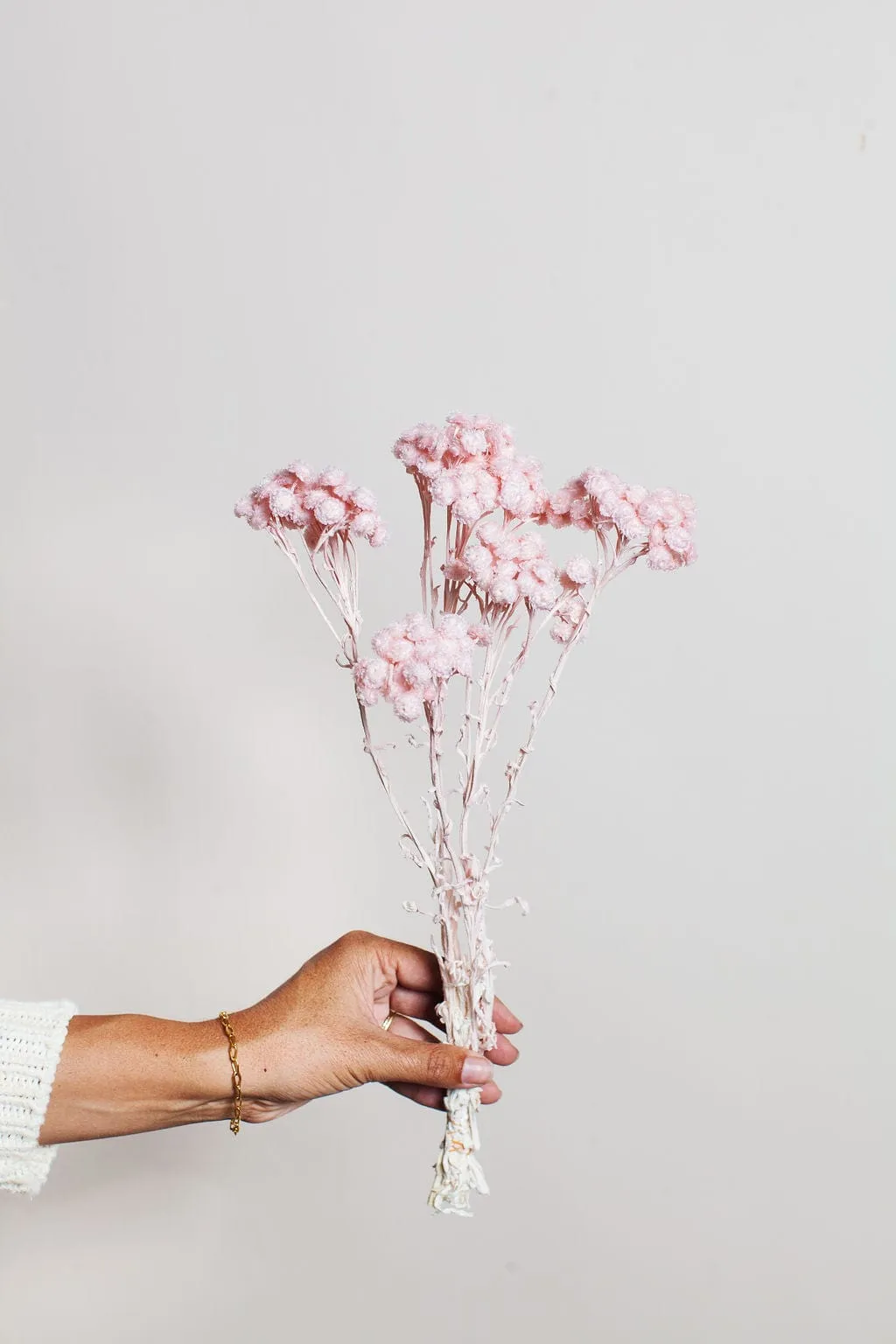 Blush Immortelle Flower