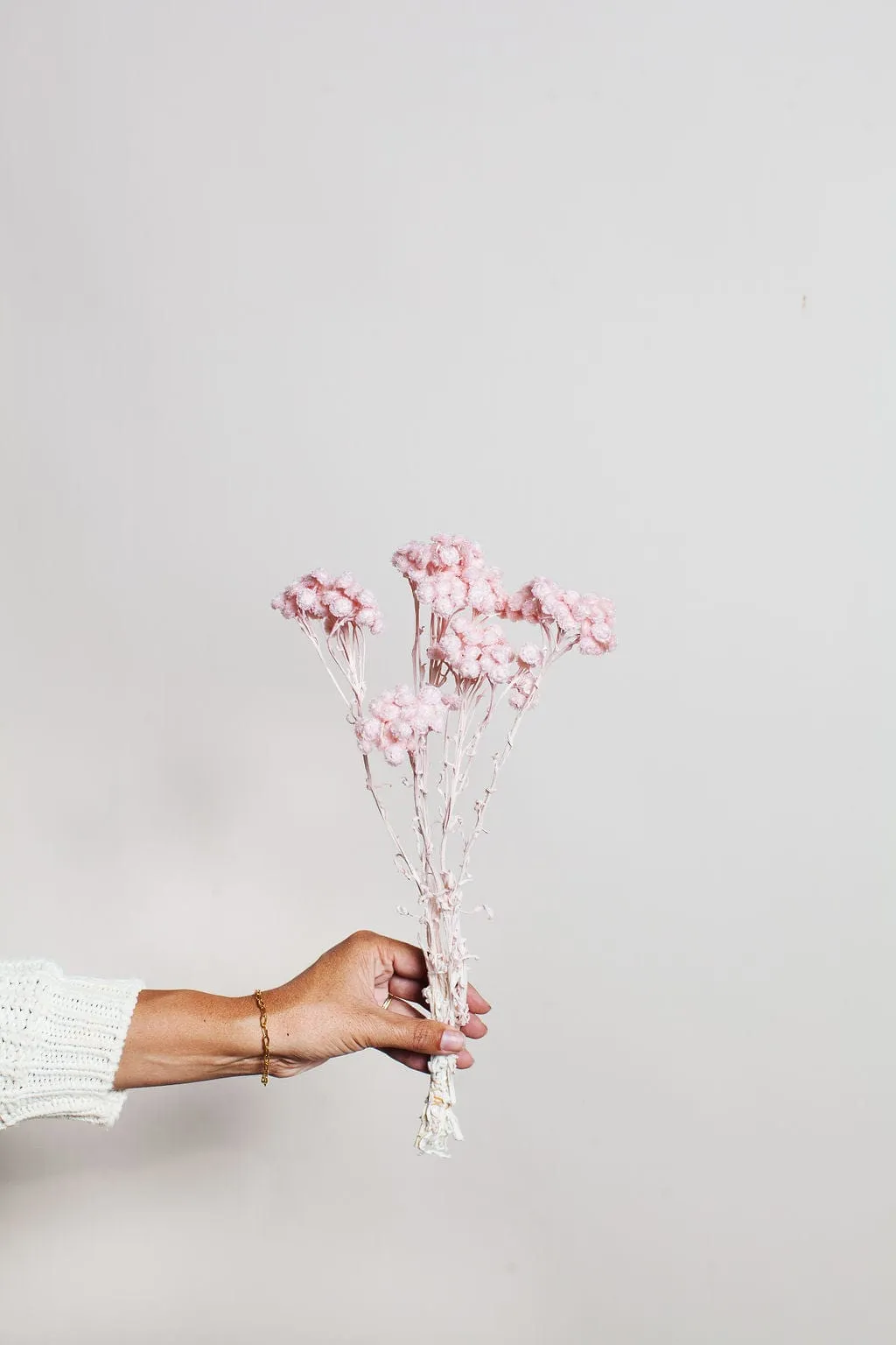 Blush Immortelle Flower