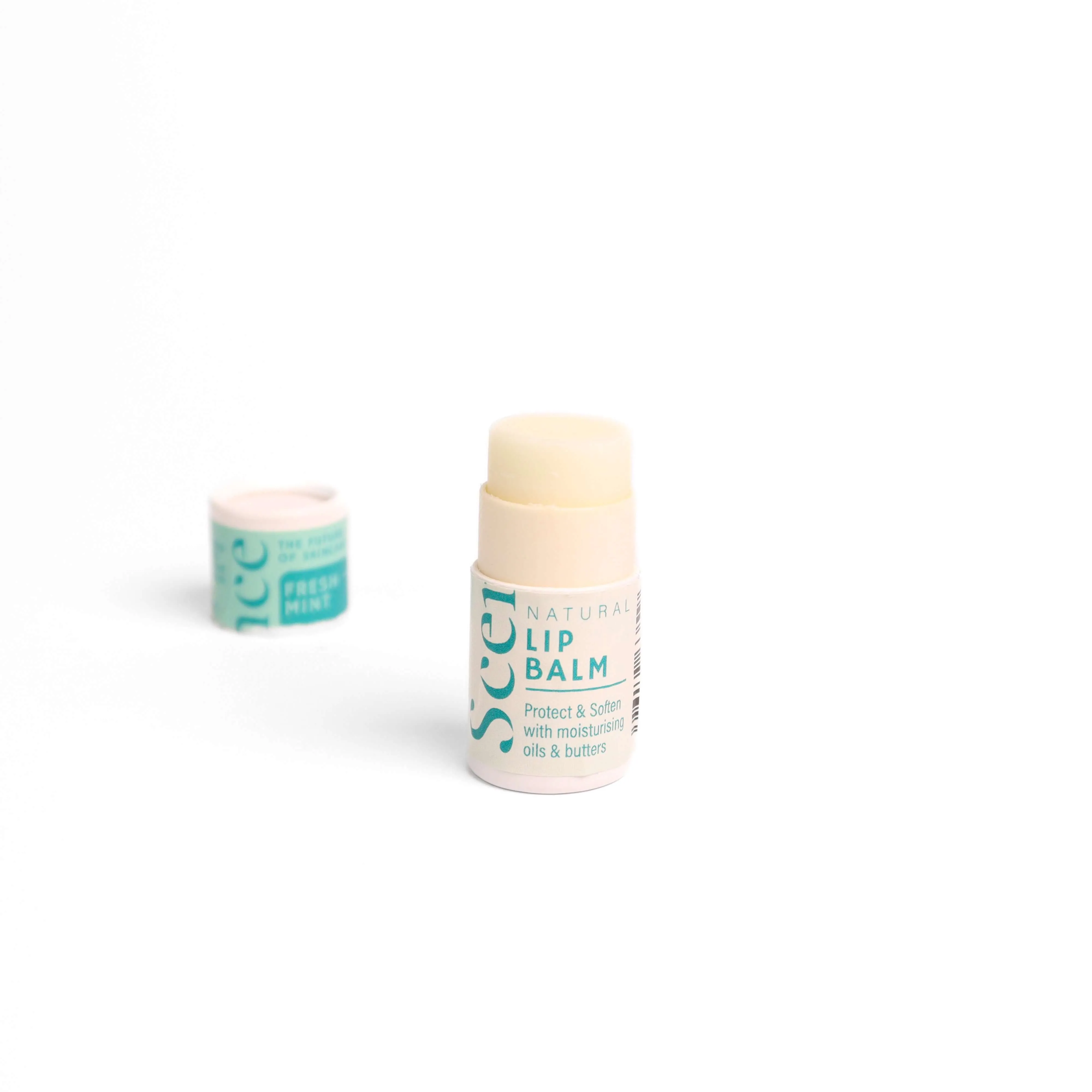 Fresh Mint Natural Lip Balm