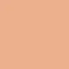 Matte Airbrush Foundation