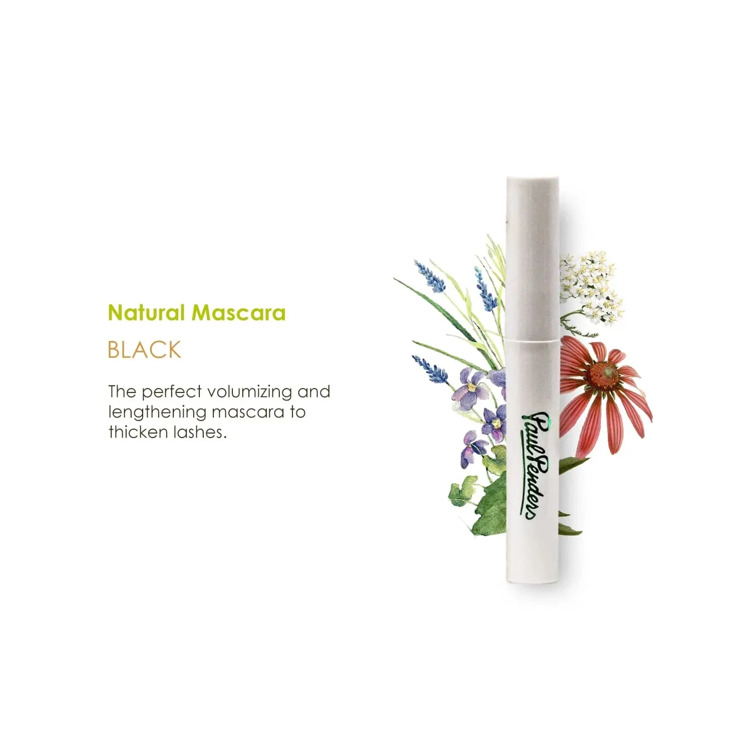 Paul Penders Natural Mascara (Black) 6ml