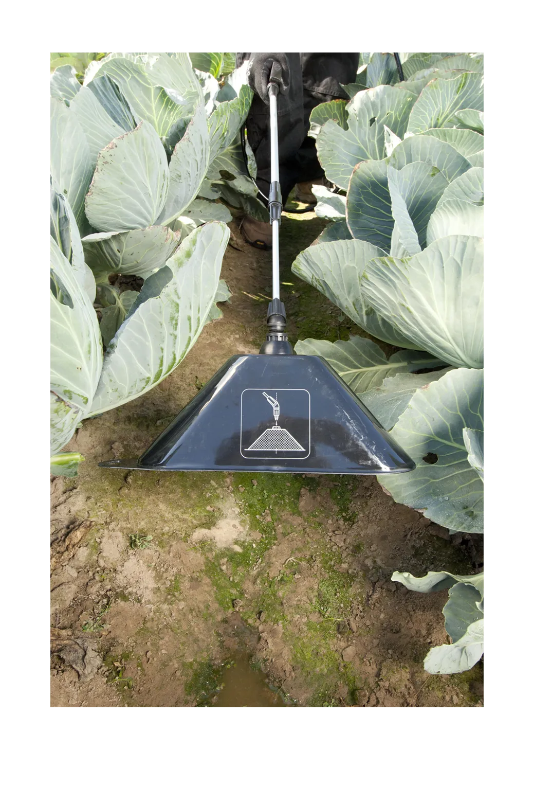 Sprayer - 12L Marolex Back Pack (Pump)
